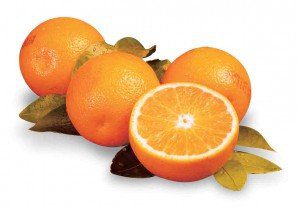  3-4-Florida-Juice-Oranges-web