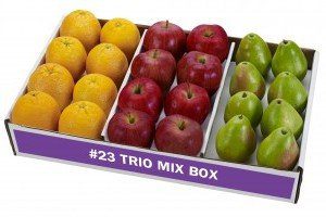 A trio of apples and oranges in a box.