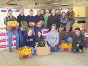 Group of people posing with boxes of oranges in a warehouse.